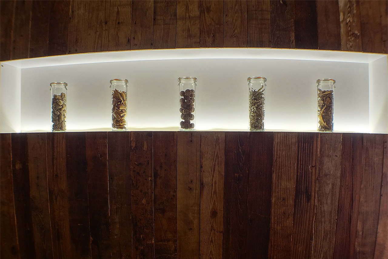 Wood wall at Catch a Fish Acupuncture and Wellness